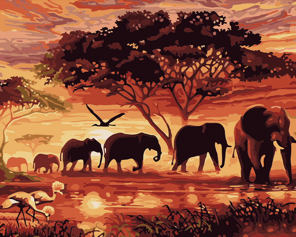 Eléphants sour le Soleil Couchant