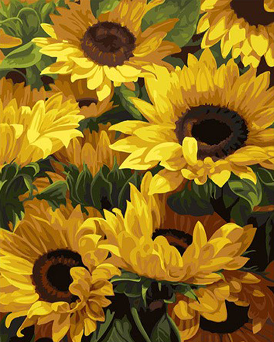 Tournesols